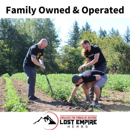 Lost Empire Herb's Pre Workout Herbal Supplement (Powder ~ 100g) || Premium Grade LOST EMPIRE HERBS UNLEASH THE POWER OF NATURE