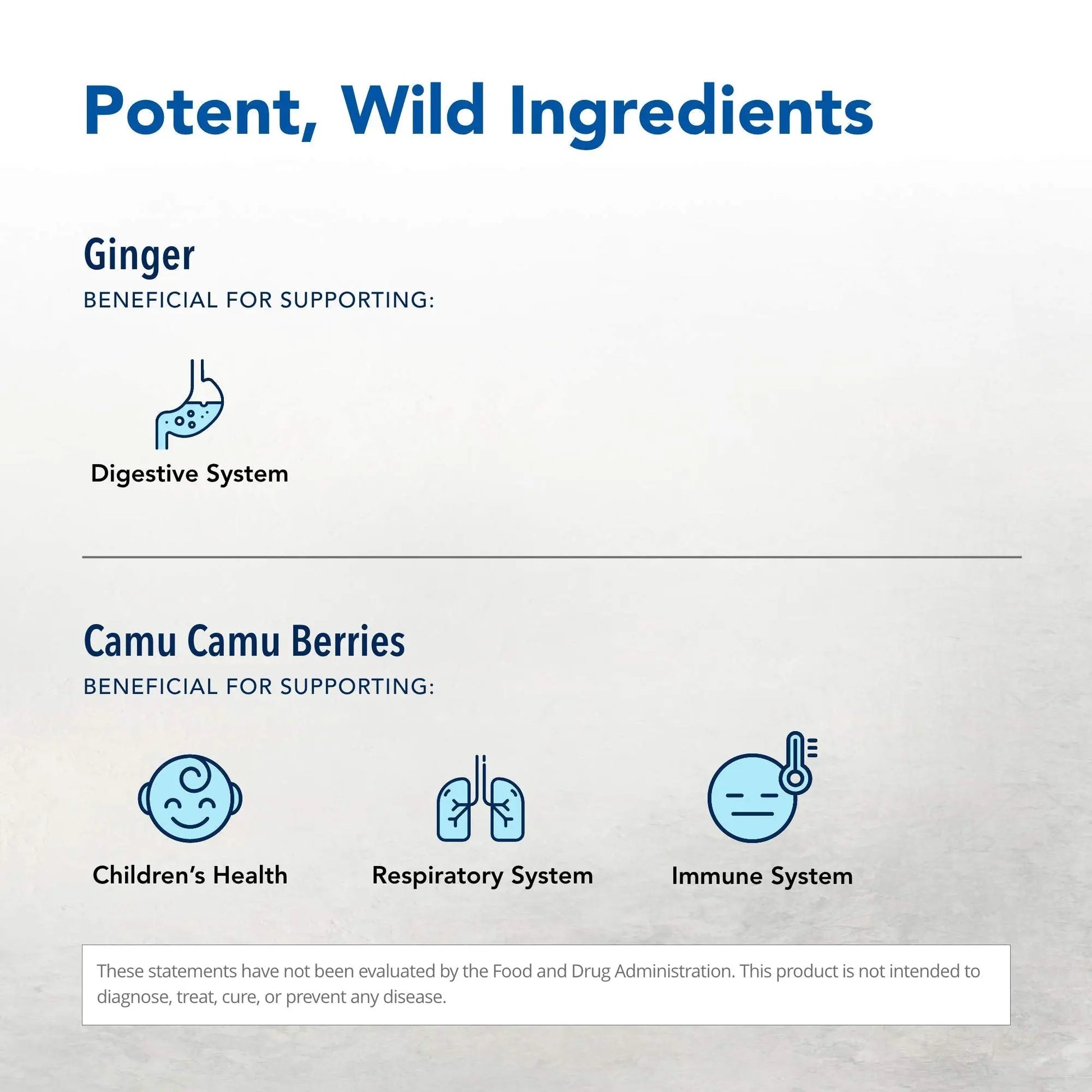 NORTH AMERICAN HERB & SPICE Inflam-eeZ - 90 Capsules - Supports Healthy Immune & Inflammatory Response - Ginger Root, Camu Camu Berries, Bromelain & Papain Plus - Non-GMO - 45 Total Servings NORTH AMERICAN HERB & SPICE buy supplements Au