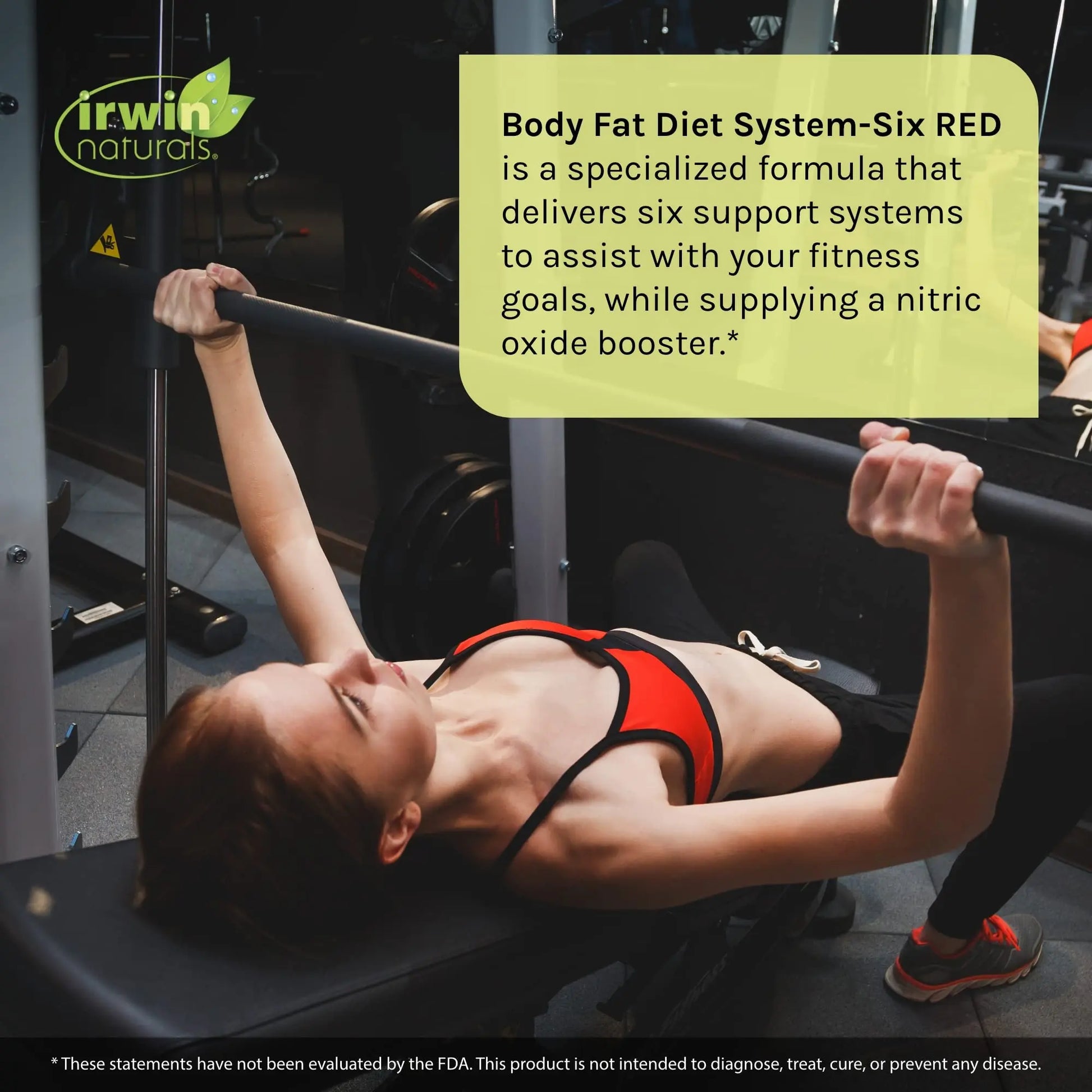 Irwin Naturals Body Fat Diet System-Six RED - 72 Liquid Soft-Gels, Pack of 2 - 6-in-1 Formula Irwin Naturals