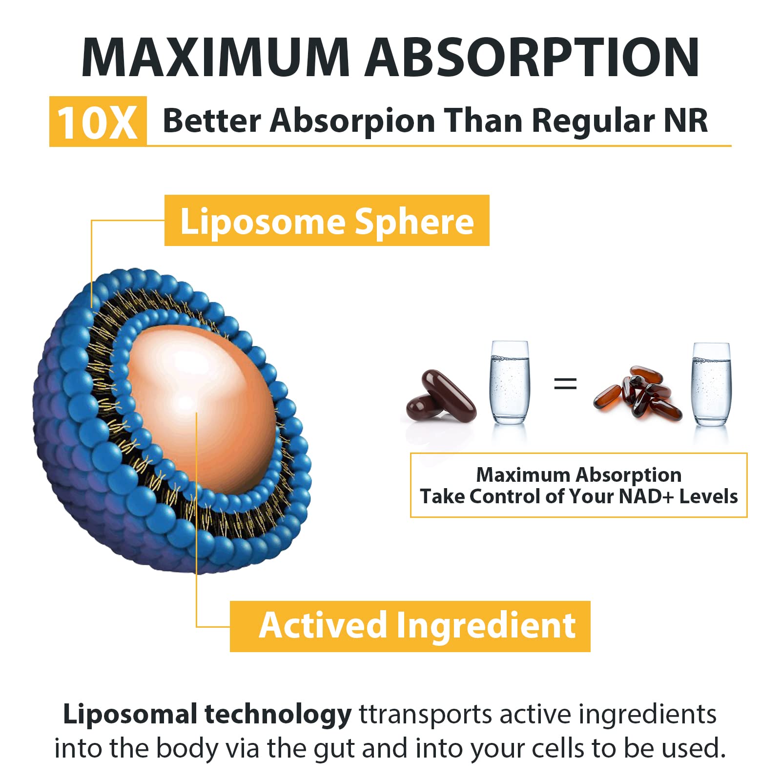 Liposomal Nicotinamide Riboside 2000 MG with TMG and Pterostilbene, Similar to NMN Supplements Boost NAD+, Support Healthy Aging, 240 Count OrgabayBuy Supplements Australia