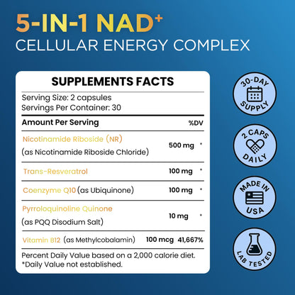 Anyglory NAD+ Supplement with 500mg NR, Resveratrol, CoQ10, PQQ- 5-in-1 NAD Formula |NMN Supplement Alternative|NAD Resveratrol Support Cellular Energy & Healthy Aging-Made in USA-60 Capsules AnygloryBuy Supplements Australia