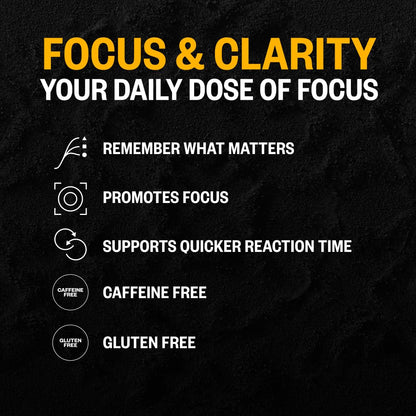 ONNIT Alpha Brain Nootropic Brain Supplement for Focus, Memory, Mental Clarity, Cognitive Support with L-Theanine and Vitamin B6, 30 Count Capsules