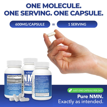 NMN Supplement 600 mg/Capsule Once Daily | 99% Pure Beta Nicotinamide Mononucleotide | Potent NAD⁺ Precursor | Supports Cellular Energy & Metabolism | Vegan, Non-GMO, Third-Party Tested & Gluten-Free AUTHENTABuy Supplements Australia