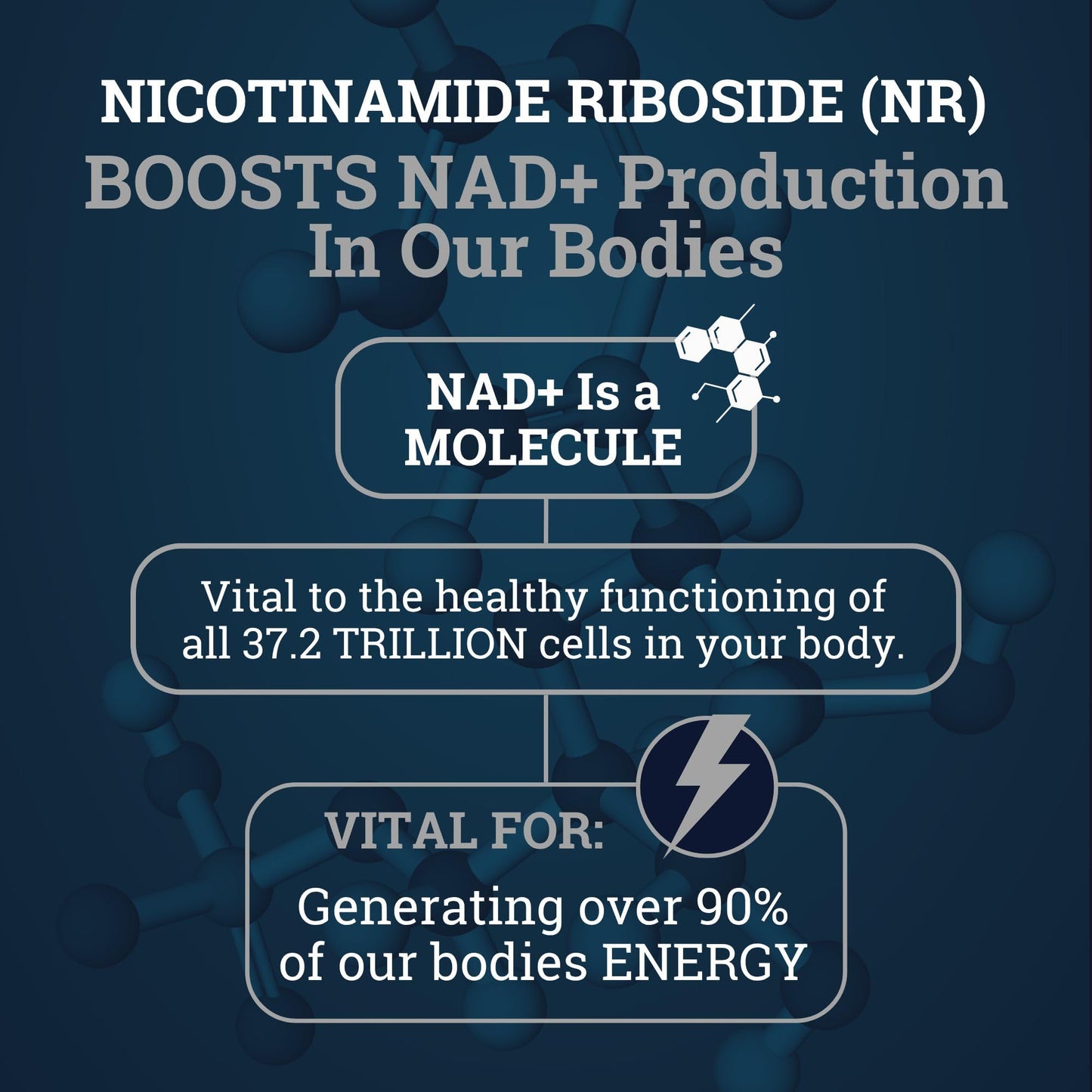 Black Forest NAD Nicotinamide Riboside 900 mg (Liposomal Nicotinamide Riboside 900mg Resveratrol, Quercetin 500mg & 150mg of NAD Resveratrol Supplement) 1550 MGS NR Supplement 900mg NAD+ Black ForestBuy Supplements Australia