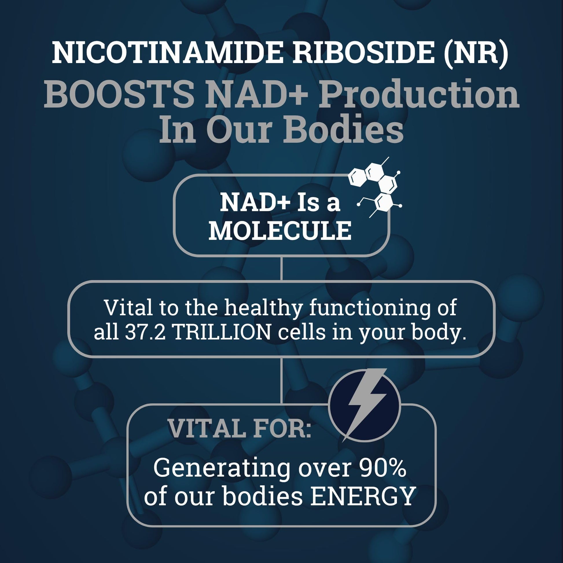 Black Forest NAD Nicotinamide Riboside 900 mg (Liposomal Nicotinamide Riboside 900mg Resveratrol, Quercetin 500mg & 150mg of NAD Resveratrol Supplement) 1550 MGS NR Supplement 900mg NAD+ Black ForestBuy Supplements Australia