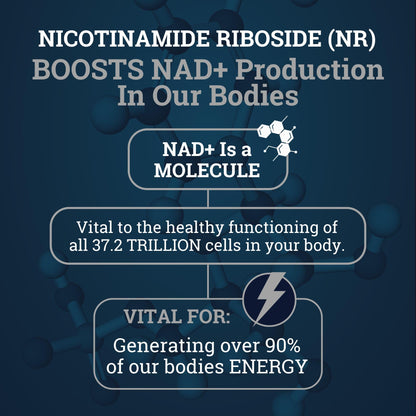 Black Forest NAD Nicotinamide Riboside 900 mg (Liposomal Nicotinamide Riboside 900mg Resveratrol, Quercetin 500mg & 150mg of NAD Resveratrol Supplement) 1550 MGS NR Supplement 900mg NAD+ Black ForestBuy Supplements Australia