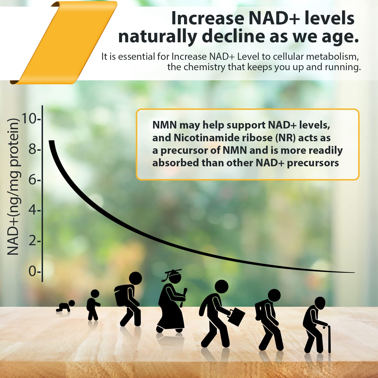 Liposomal Nicotinamide Riboside 2000 MG with TMG and Pterostilbene, Similar to NMN Supplements Boost NAD+, Support Healthy Aging, 240 Count OrgabayBuy Supplements Australia