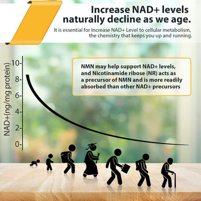 Liposomal Nicotinamide Riboside 2000 MG with TMG and Pterostilbene, Similar to NMN Supplements Boost NAD+, Support Healthy Aging, 240 Count OrgabayBuy Supplements Australia