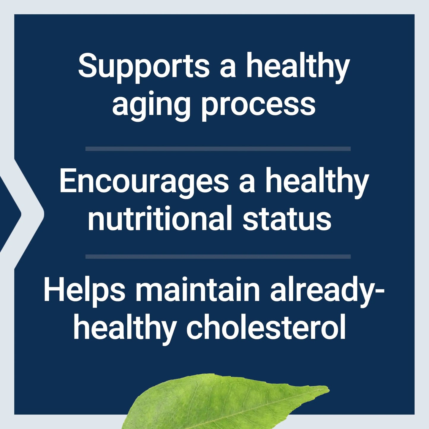 Life Extension FLORASSIST® Probiotic Youthful Gut, Healthy Aging Supplement, postbiotic and probiotic Blend, Heart and Gut Health, Non-GMO, 1-Daily, Gluten-Free, Vegetarian, 30 Capsules Life ExtensionBuy Supplements Australia