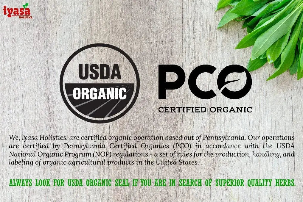 Iyasa Organic Beet Root Powder, Plant Based, Vegan, Gluten-Free, Beetroot Superfood Iyasa Holistics