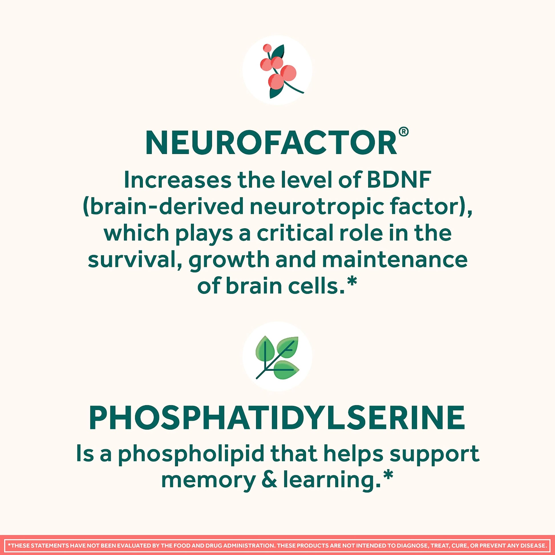 NEURIVA Original Brain Supplement for Memory, Focus & Concentration + Learning & Accuracy with Clinically Tested Nootropics Phosphatidylserine and Neurofactor, Strawberry Flavor, 50 Gummies NEURIVABuy Supplements Australia