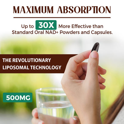 Caenciennes Liposomal NAD+ 500 MG Supplement, True NAD Plus Supplement, Superior Absorption, Boost NAD+ More Efficient Than Nicotinamide Riboside for Cellular Energy, Healthy Aging, 60 Serving CaenciennesBuy Supplements Australia