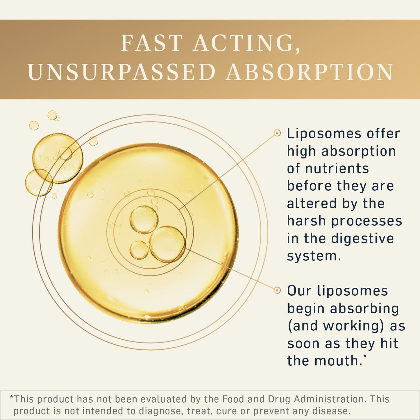 Quicksilver Scientific Liposomal GABA + L Theanine - Calm, Stress Response & Brain Support - Bioavailable GABA Supplement with L Theanine 100mg (1.7oz/50ml) Quicksilver ScientificBuy Supplements Australia