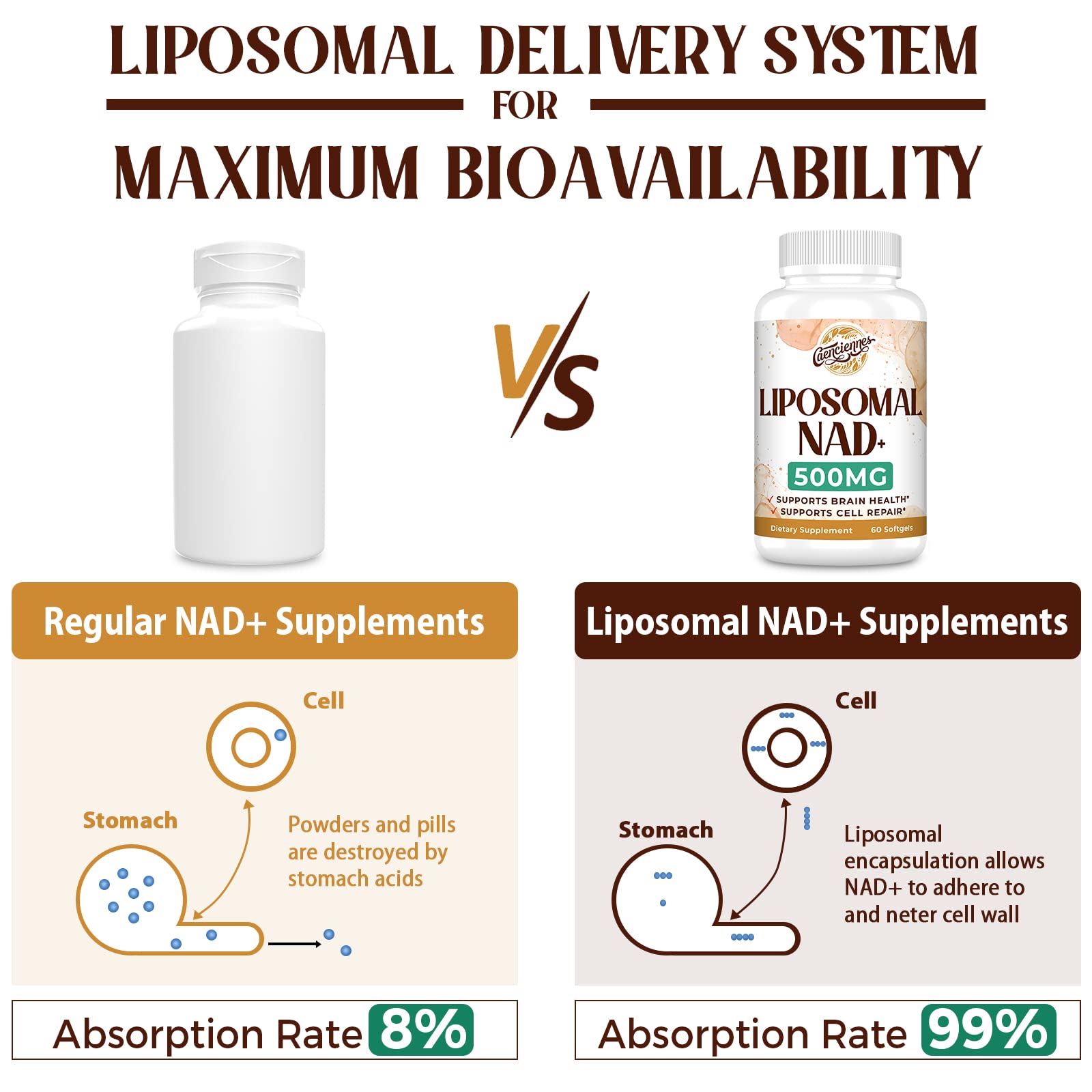 Caenciennes Liposomal NAD+ 500 MG Supplement, True NAD Plus Supplement, Superior Absorption, Boost NAD+ More Efficient Than Nicotinamide Riboside for Cellular Energy, Healthy Aging, 60 Serving CaenciennesBuy Supplements Australia