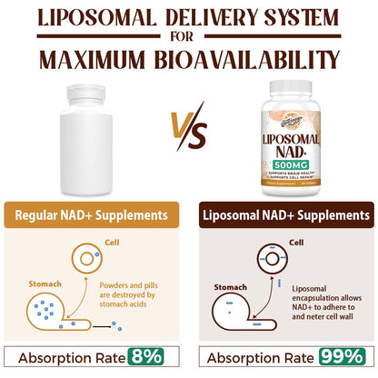 Caenciennes Liposomal NAD+ 500 MG Supplement, True NAD Plus Supplement, Superior Absorption, Boost NAD+ More Efficient Than Nicotinamide Riboside for Cellular Energy, Healthy Aging, 60 Serving CaenciennesBuy Supplements Australia