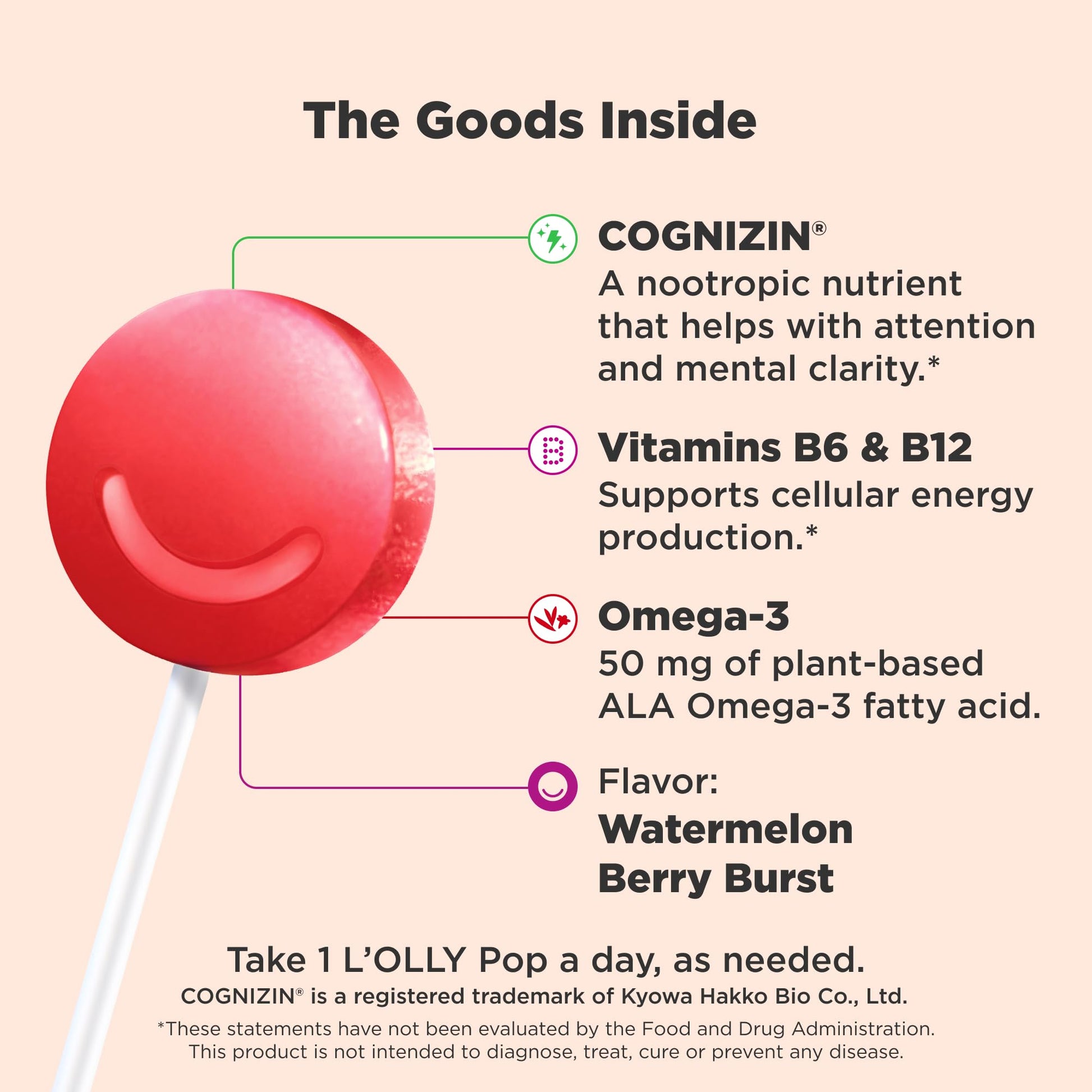 OLLY Focus Buddies L’OLLY Pops, Cognizin, Vitamins B6 and B12, Omega-3 ALA, Supports Focused Attention and Healthy Brain Function,* Kids 4+ Dietary Supplement, Watermelon Strawberry Flavored, 25 Count OLLYBuy Supplements Australia