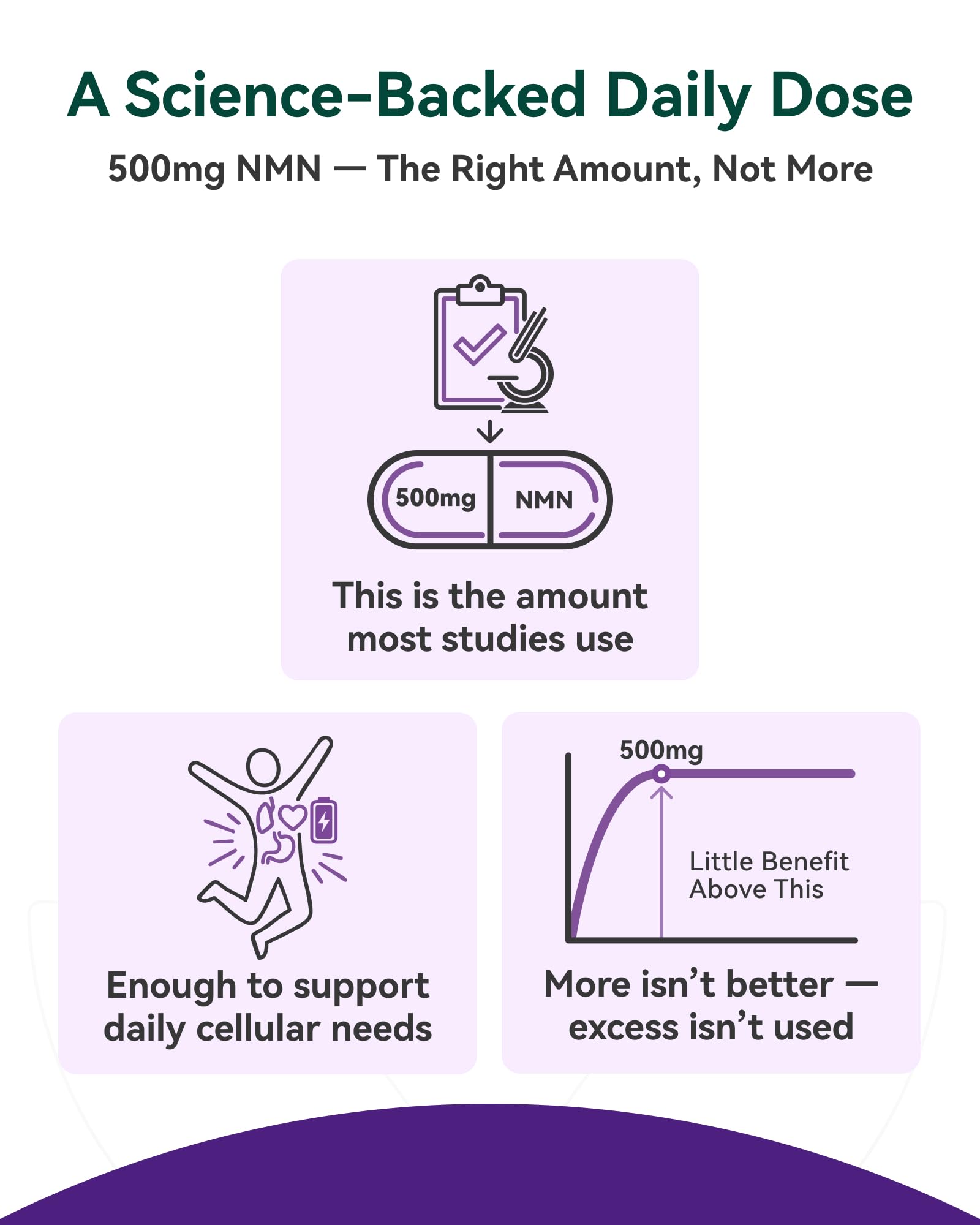 Inner Brightness NMN Supplement 500mg, 99.9% High Purity, Supports NAD+ Levels & Cellular Energy, 5-in-1 Formula with Resveratrol & Astaxanthin, Non-GMO, Gluten-Free, 60 Capsules Inner BrightnessBuy Supplements Australia