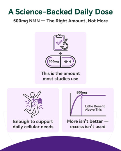 Inner Brightness NMN Supplement 500mg, 99.9% High Purity, Supports NAD+ Levels & Cellular Energy, 5-in-1 Formula with Resveratrol & Astaxanthin, Non-GMO, Gluten-Free, 60 Capsules Inner BrightnessBuy Supplements Australia