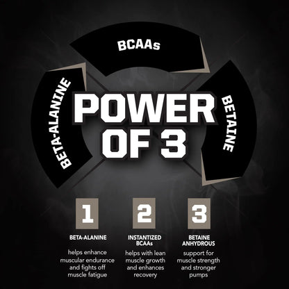 PMD Sports BX3 Ultra Muscle-Building Powder – Beta-Alanine, BCAAs, Betaine Anhydrous PMD