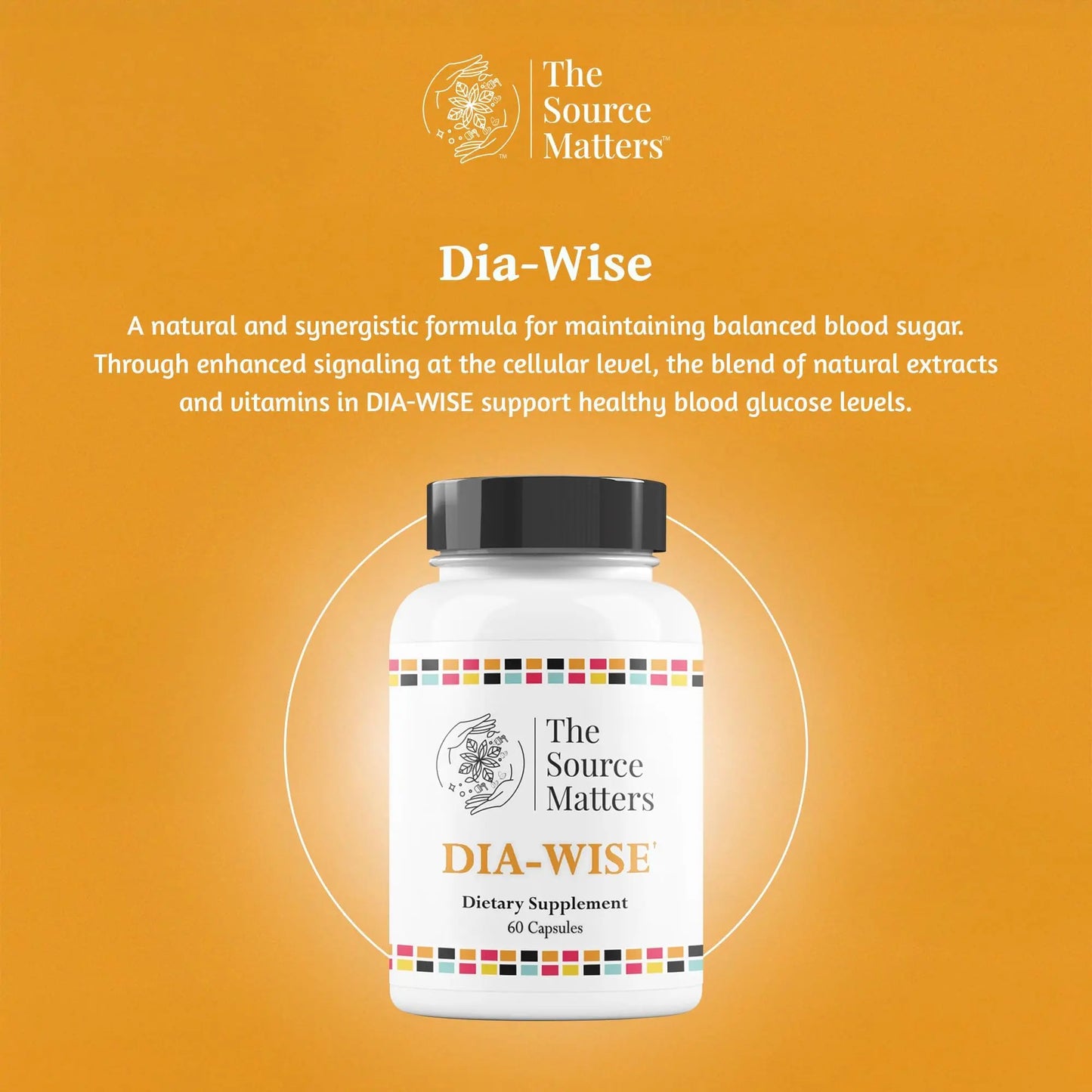 The Source Matters Dia-Wise Metabolic Health Supplement | Alpha Lipoic Acid, Cinnulin Capsules, Biotin, Chromium, Vanadyl Sulfate, Vitamin B for AMPK Activation (60 Count) THE SOURCE MATTERS buy supplements Au