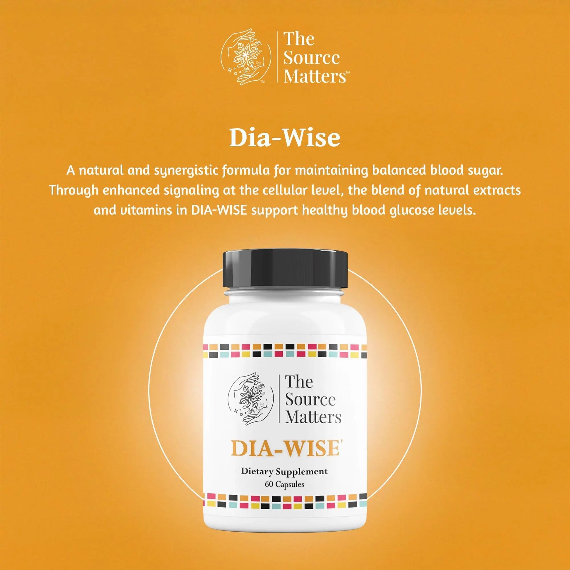 The Source Matters Dia-Wise Metabolic Health Supplement | Alpha Lipoic Acid, Cinnulin Capsules, Biotin, Chromium, Vanadyl Sulfate, Vitamin B for AMPK Activation (60 Count) THE SOURCE MATTERS buy supplements Au