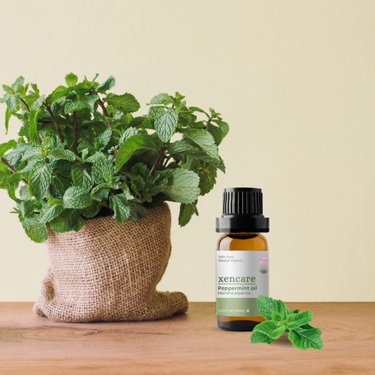 xencare Peppermint USDA Organic Food Grade Essential Oil | 100% Pure Natural Undiluted XenCare