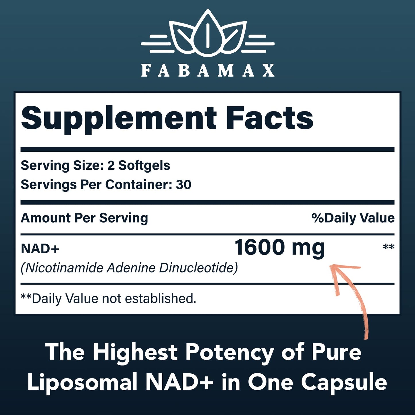 Fabamax 1600 mg Liposomal NAD Supplement, 98% Pure NAD+ Supplement, Superior Absorption, Alternative to Nicotinamide Riboside or NADH to Boost NAD+ for Aging Defense, Energy, Longevity,60 Softgels FabamaxBuy Supplements Australia