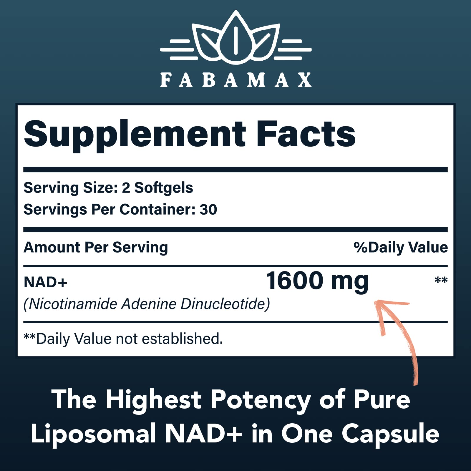 Fabamax 1600 mg Liposomal NAD Supplement, 98% Pure NAD+ Supplement, Superior Absorption, Alternative to Nicotinamide Riboside or NADH to Boost NAD+ for Aging Defense, Energy, Longevity,60 Softgels FabamaxBuy Supplements Australia