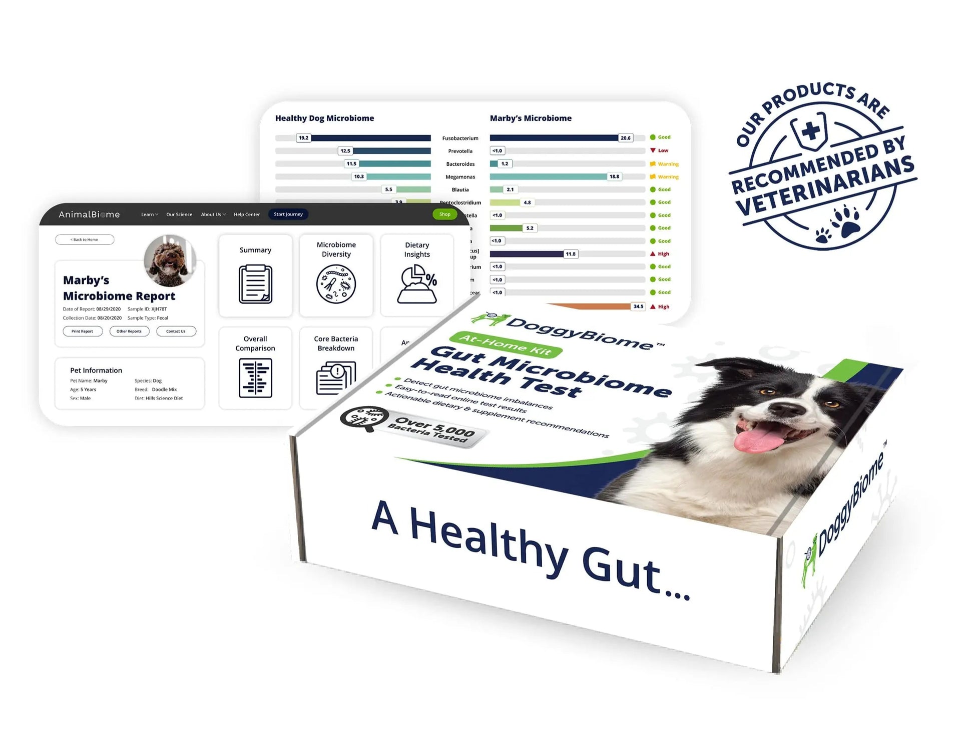 AnimalBiome Dog Gut Health Test – DoggyBiome At Home Stool Testing Kit, Canine Fecal Analysis for Digestive Issues, Diarrhea & Allergy Insights w/Personalized Report & Custom Plan (Dogs Outside US) AnimalBiomeBuy Supplements Australia