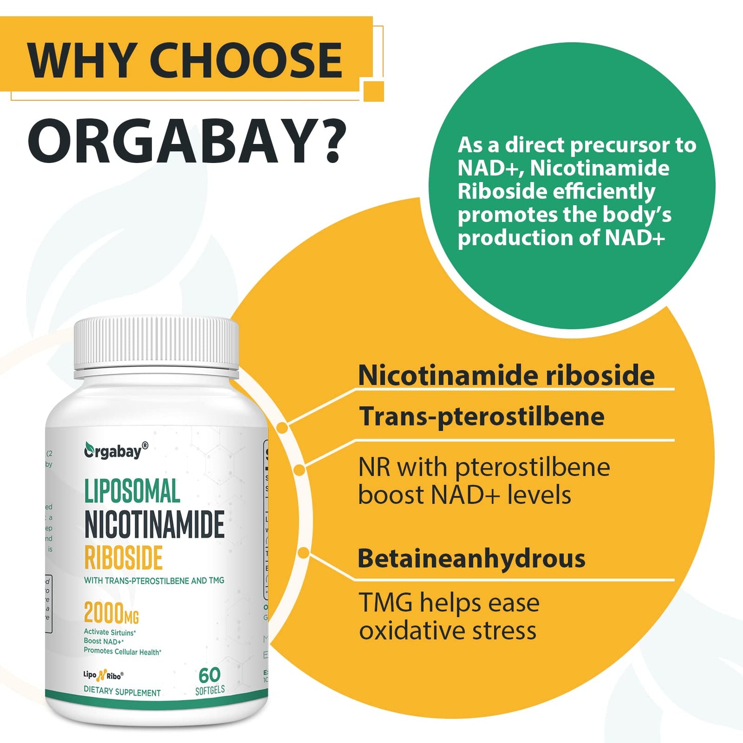 Liposomal Nicotinamide Riboside 2000 MG with TMG and Pterostilbene, Similar to NMN Supplements Boost NAD+, Support Healthy Aging, 240 Count OrgabayBuy Supplements Australia