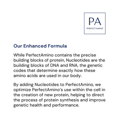 BodyHealth PerfectAmino (600 ct) Easy to Swallow Tablets, Essential Amino Acids Supplement with BCAAs, Vegan Protein for Pre/Post Workout & Muscle Recovery with Lysine, Tryptophan, Leucine, Methionine BodyHealth buy supplements Au
