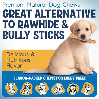 FETCHERONI 12" Collagen Sticks for Dogs – Low Odor Long-Lasting Bully Stick & Rawhide Alternative, Single Ingredient Beef Bone, High Protein Dental Treat, Vet Approved, Improves Joint Health – 5 Pack FETCHERONIBuy Supplements Australia