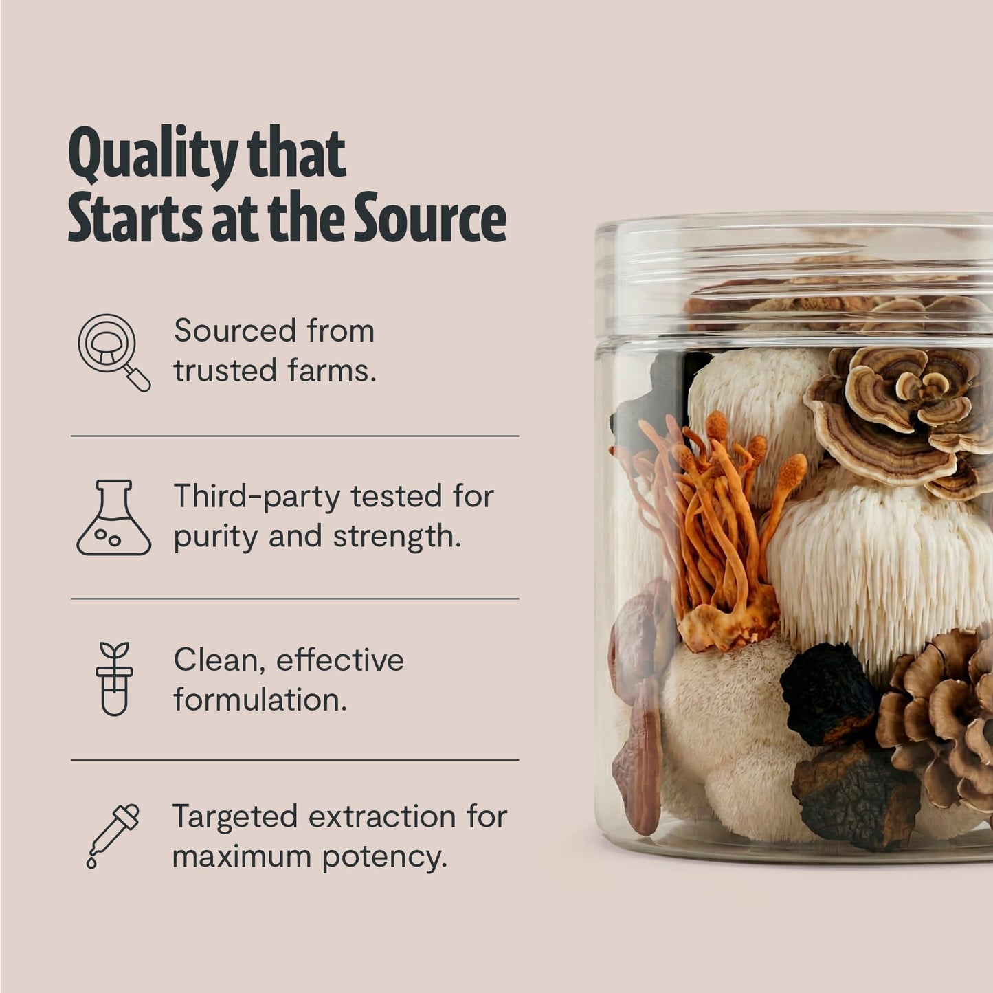 FreshCap Mushrooms Ultimate Mushroom Supplement Powder 12,000mg - Nootropic Organic Mushroom Complex for Focus & Memory, Brain Support Supplement, Ayurveda Mushroom Powder Extract (60 Servings) FreshCap MushroomsBuy Supplements Australia