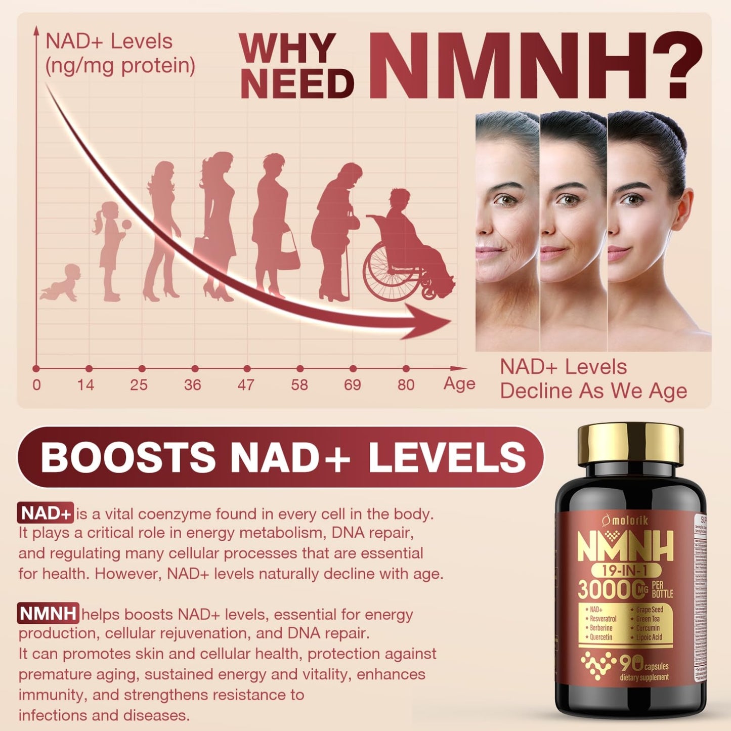 19 in 1 NMNH (Dihydronicotinamide Mononucleotide) 1000mg Per Serving, Nad Supplement Boost NAD+ Levels Nad Resveratrol Supplement with Quercetin, Vitamin D3 K2, Healthy Aging, Energy, 90 Capsules molorik pureBuy Supplements Australia