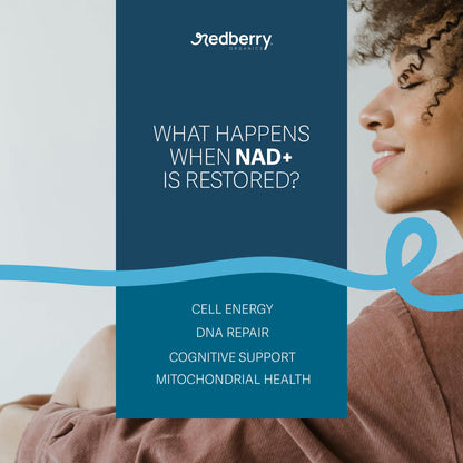 NAD Supplement with Direct NAD+ 300mg (NAD Plus) | Advanced Longevity Complex with Urolithin A & Resveratrol | NMN Alternative | 60 Capsules | Non-GMO, Gluten Free | Made in USA Redberry OrganicsBuy Supplements Australia