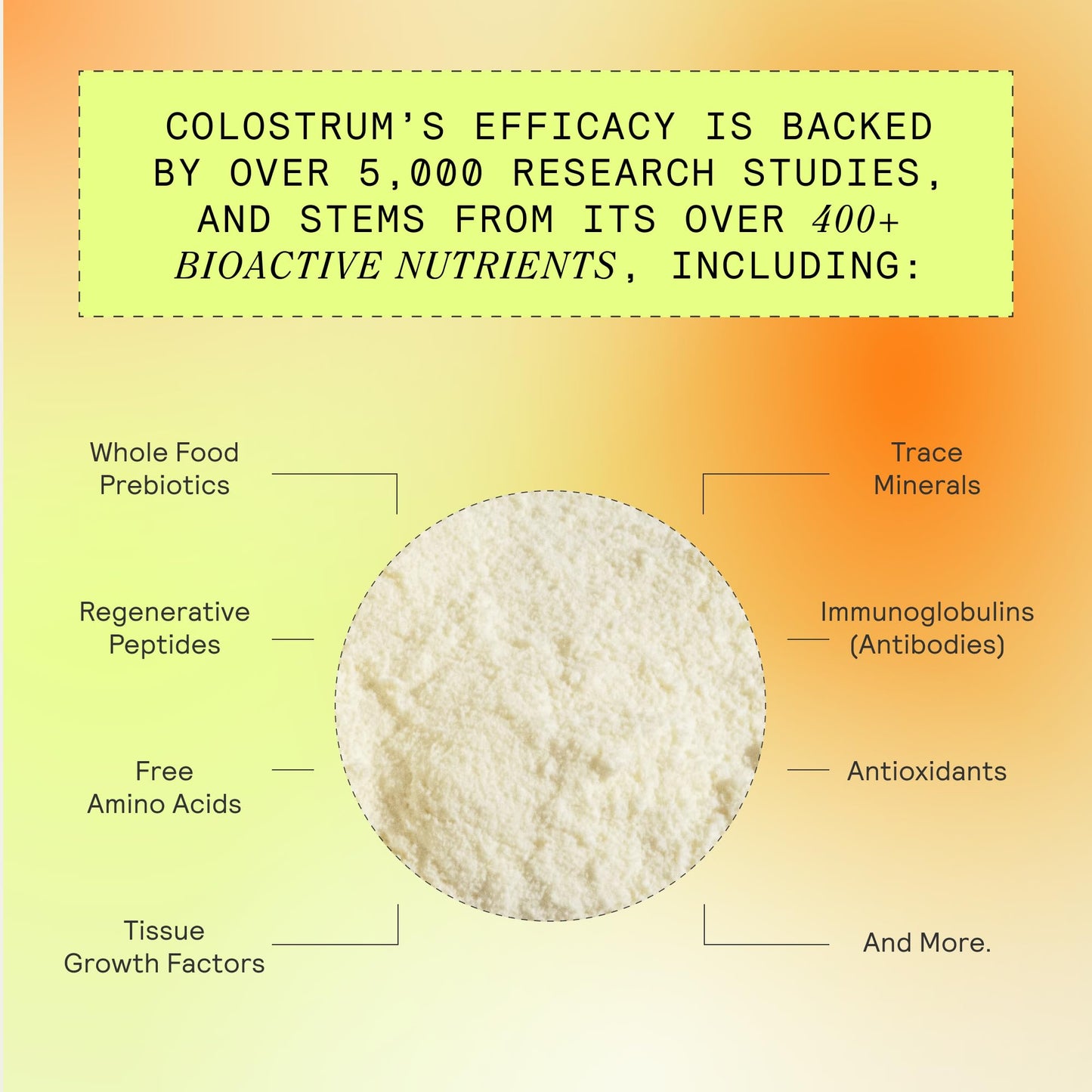 ARMRA Colostrum™ Premium Powder, Grass Fed, Gut Health Bloating Immunity Skin & Hair, Contains 400+ Bioactive Nutrients, Keto, Gluten & Fat Free (Unflavored Bundle | 90 Servings) ARMRABuy Supplements Australia