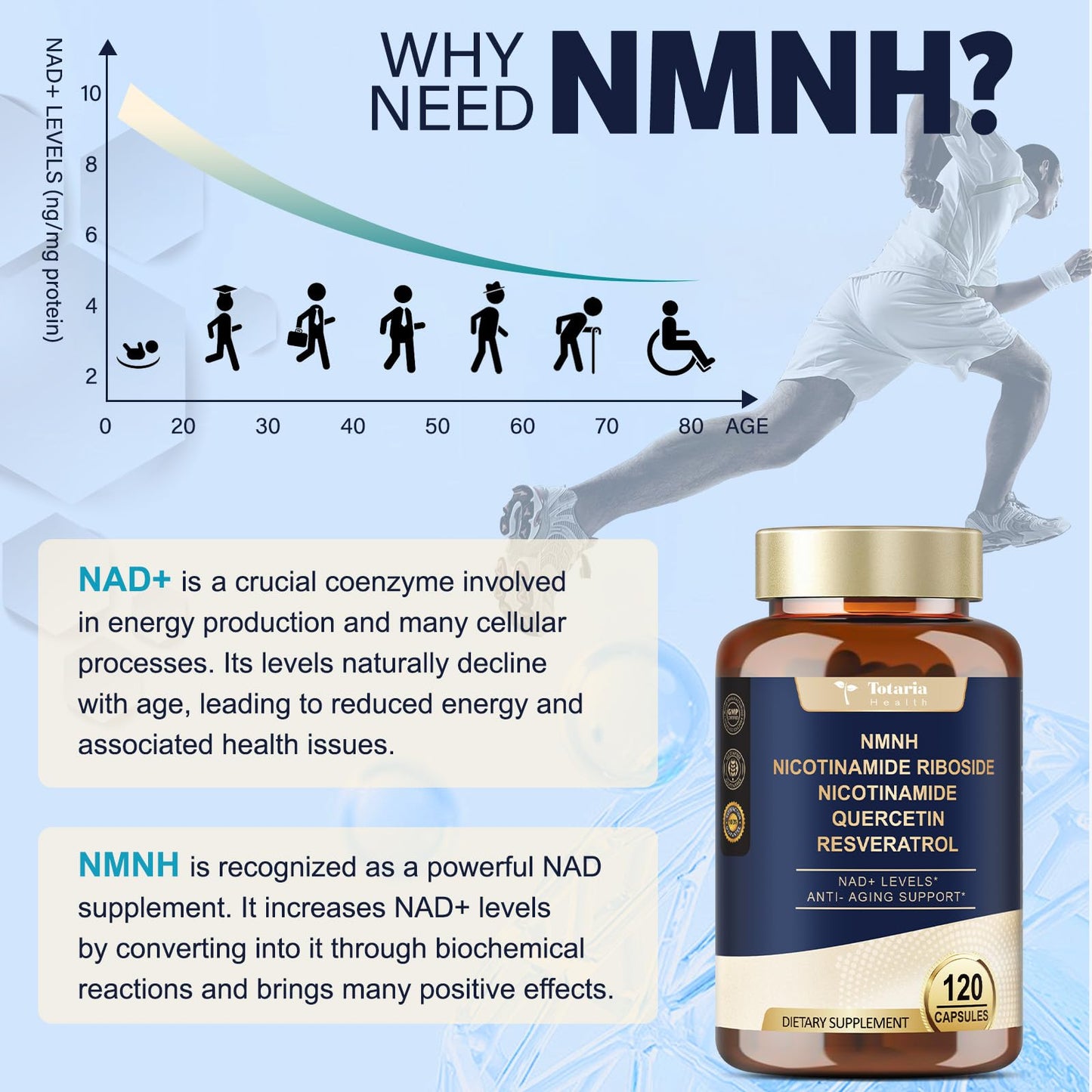 Totaria NMNH 500mg (Dihydronicotinamide Mononucleotide), Premium NMN Alternative Supplement w/Niacinamide (Vitamin B3), Quercetin, Trans-Resveratrol, for NAD+, Skin Cell, Anti-Aging & Energy, 120 Ct TotariaBuy Supplements Australia