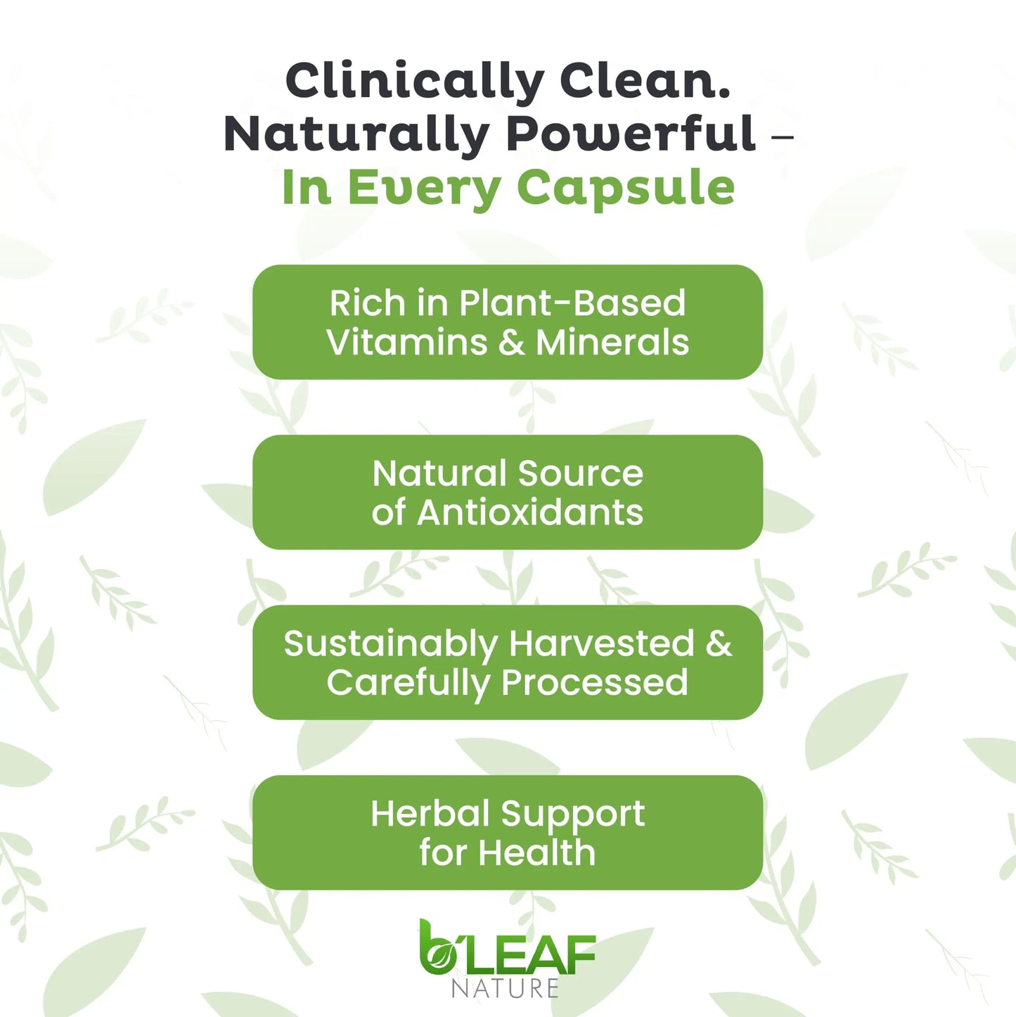 B'LEAF NATURE Moringa and Quercetin Bundle - Non-GMO, Vegan, High Absorption Capsules - 1000mg Quercetin Phytosome Blend + 1000mg Moringa - Natural Energy, Wellness and Immune Support Supplements B'LEAF NATURE buy supplements Au
