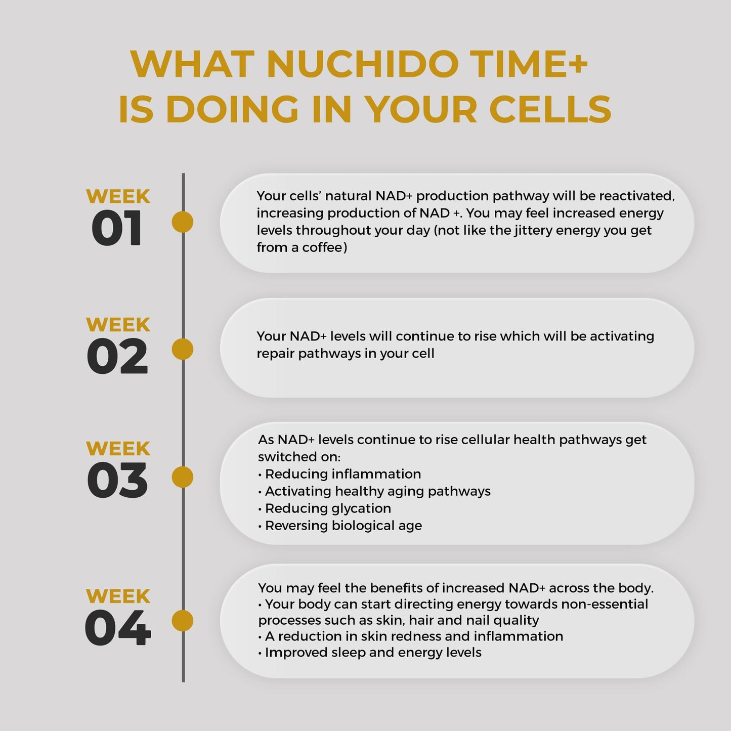 Nuchido Time+ NAD Supplement for Men & Women - Advanced Formula for Healthy Aging, Energy, Focus, Cellular Health & Longevity - Nicotinamide, Alpha Lipoic Acid, Quercetin - 90 Capsules Nuchido Time+Buy Supplements Australia