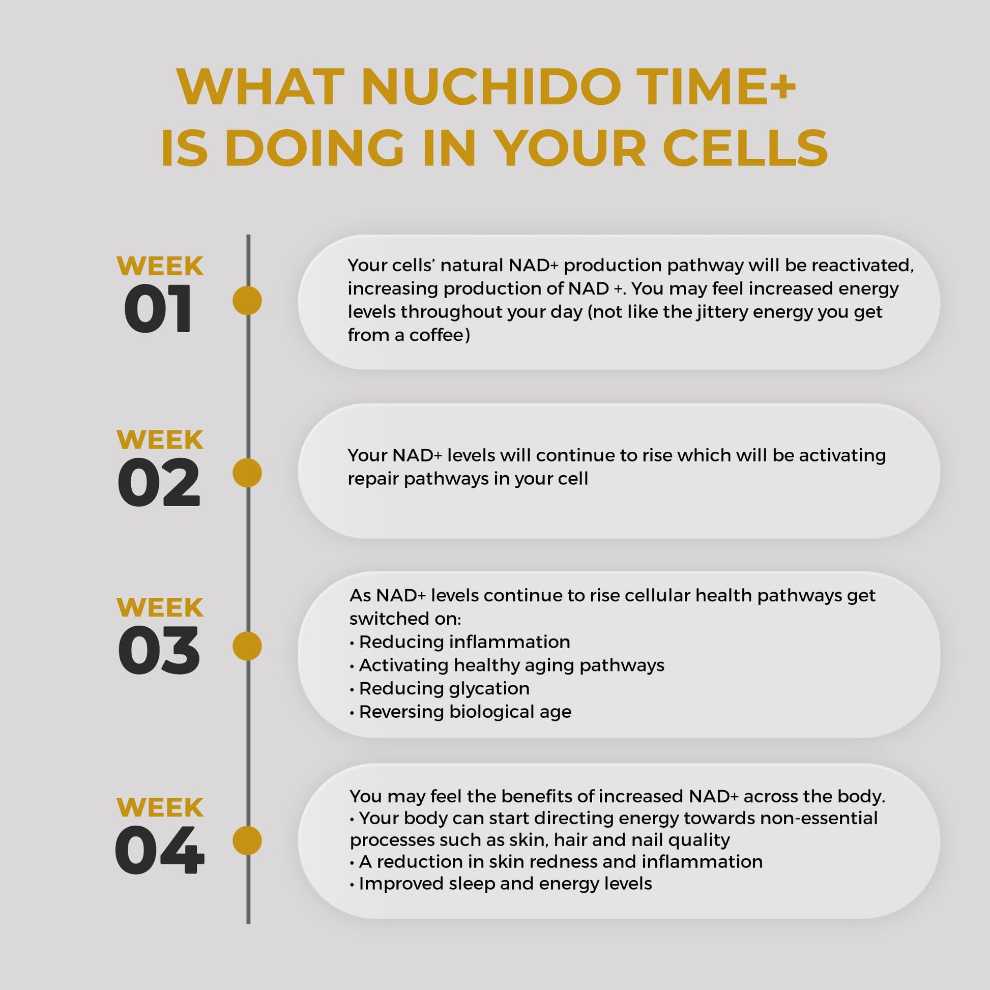 Nuchido Time+ NAD Supplement for Men & Women - Advanced Formula for Healthy Aging, Energy, Focus, Cellular Health & Longevity - Nicotinamide, Alpha Lipoic Acid, Quercetin - 90 Capsules Nuchido Time+Buy Supplements Australia