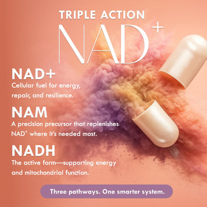 Cell Theory NAD+ Supplement – Triple Action Liposomal NAD+ & NADH Formula for Cellular Energy, Mitochondrial Support, and Longevity, Developed by Dr. Halland, 60 Capsules (30-Day Supply) Cell TheoryBuy Supplements Australia