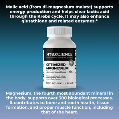 MYOXCIENCE Optimized Magnesium Glycinate + Magnesium Taurate (as ATAmag®) for High Brain Bioavailability to Support Stress Relief and Sleep | 30 Servings MYOXCIENCE buy supplements Au