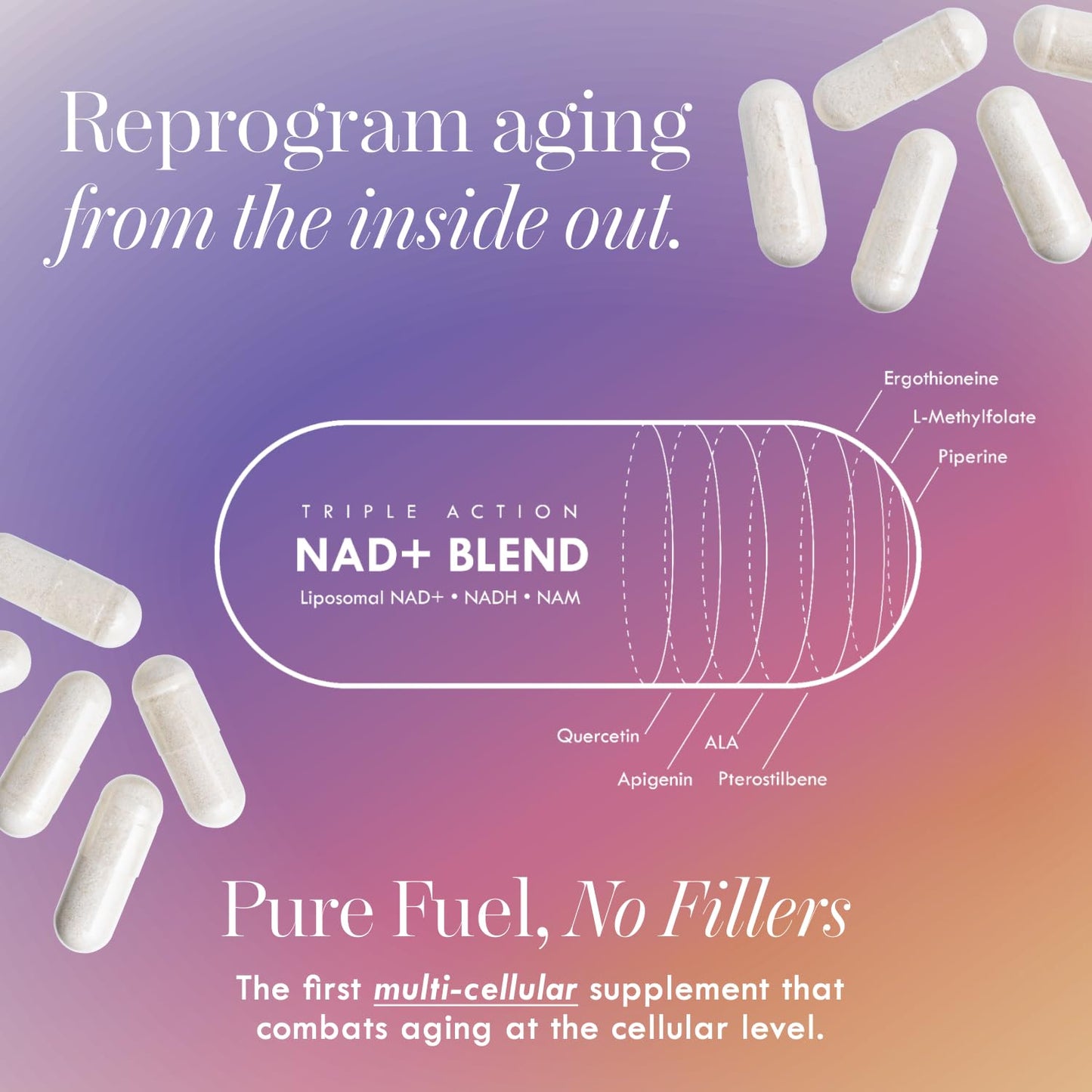 Cell Theory NAD+ Supplement – Triple Action Liposomal NAD+ & NADH Formula for Cellular Energy, Mitochondrial Support, and Longevity, Developed by Dr. Halland, 60 Capsules (30-Day Supply) Cell TheoryBuy Supplements Australia