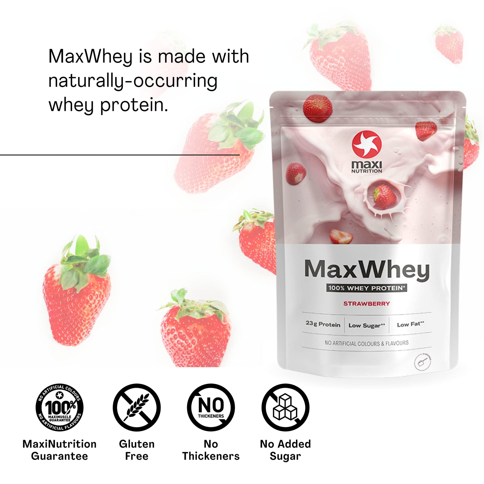 MaxiNutrition - MaxWhey - Whey Protein Powder Strawberry - Low-Fat - Low Sugar MaxiNutrition