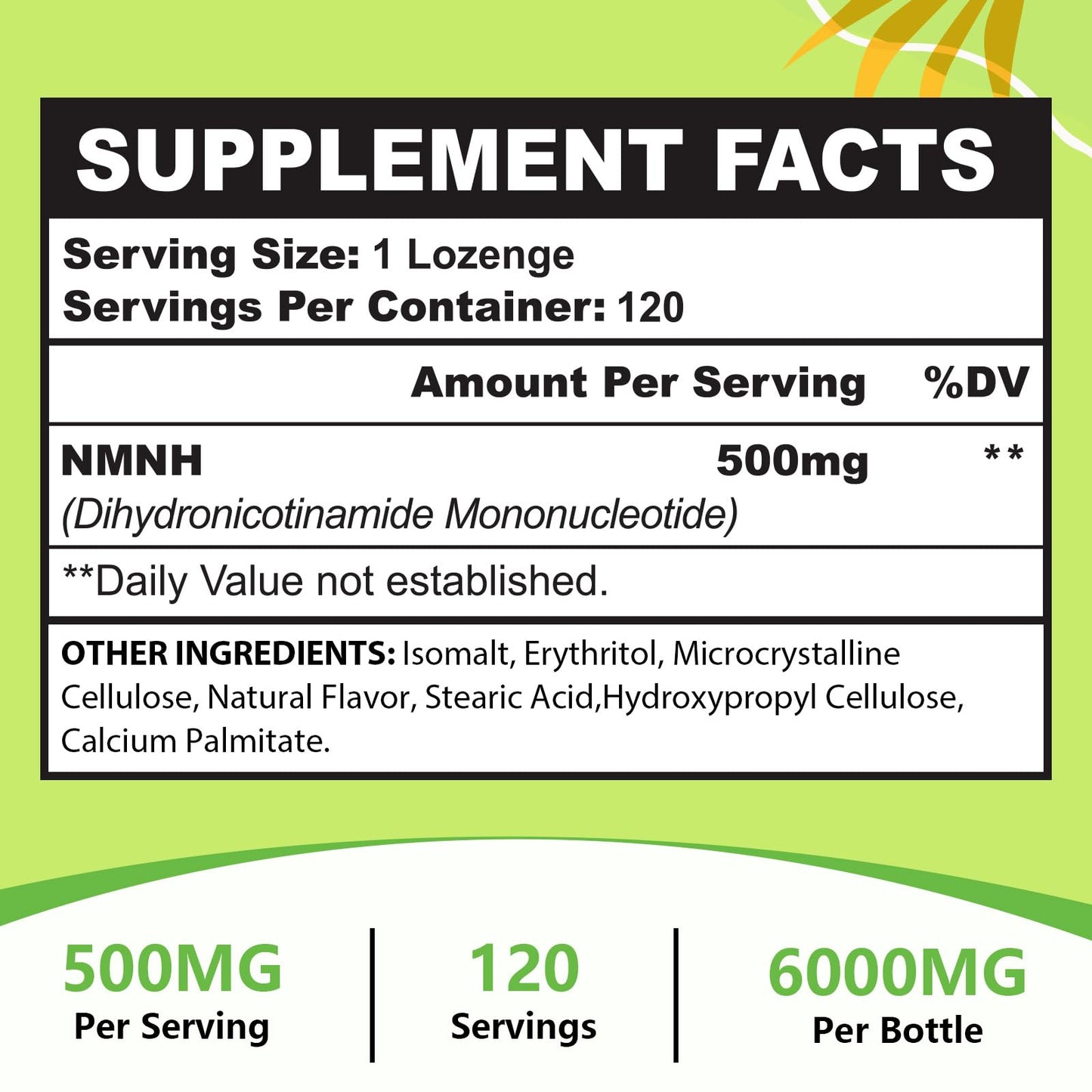 Sublingual NMNH 500mg (Dihydronicotinamide Mononucleotide) (120 Servings, NMNH 500mg per Serving) NAD Supplement to Boost NAD Levels as We Age, for Anti-Aging, Energy, Immunity, Focus - 120 Count UrsinquilBuy Supplements Australia