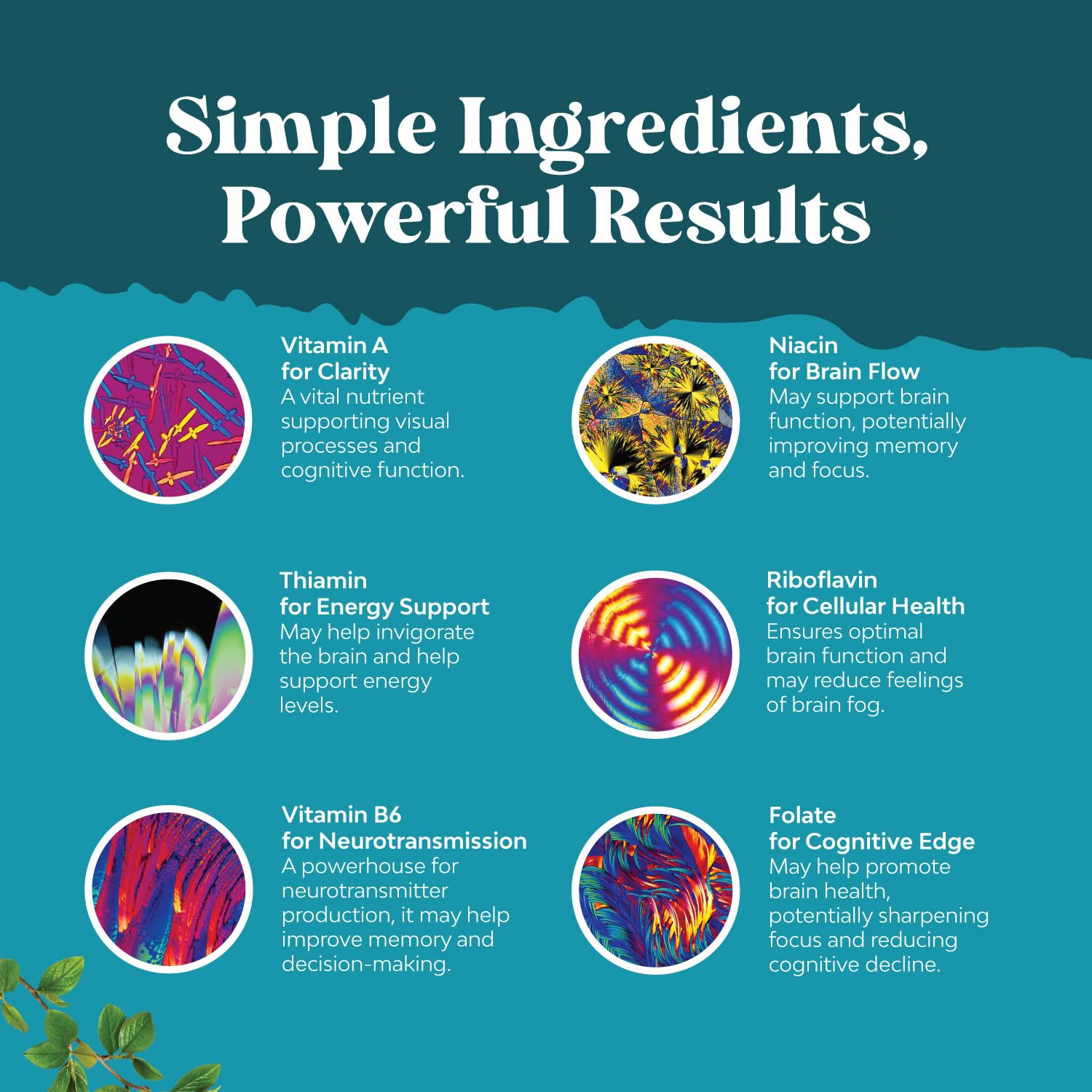Nootropic Brain Supplement for Memory and Focus Enhancement - Vitamins for Mental Health & Clarity with VIT A, B6, Riboflavin, Niacin, Thiamin & Folate - Cognitive Complex for Mind Vitality - 60 Ct Natures CraftBuy Supplements Australia