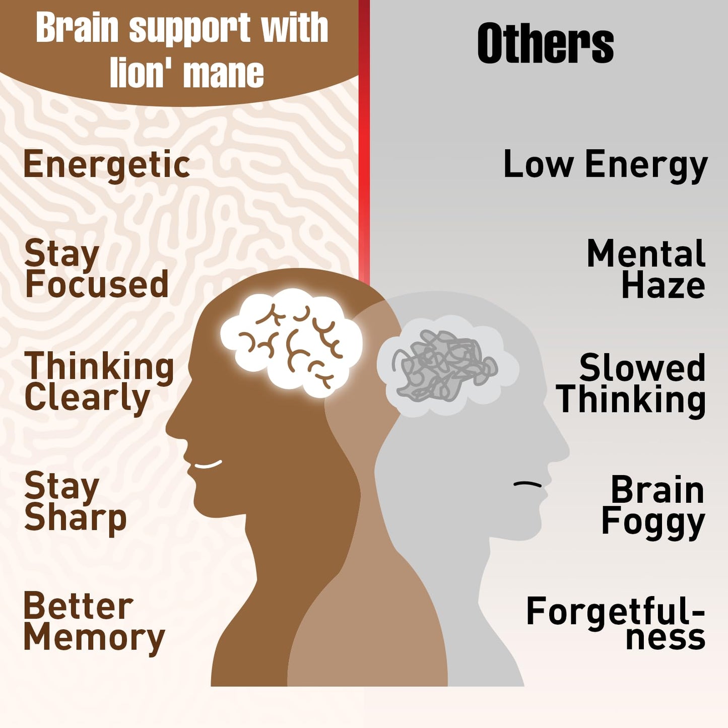 Ashwagandha & Lions Mane Supplements Capsules, Brain Supplements for Memory and Focus, Ashwagandha with Rhodiola Rosea for Cognitive, Immune Support, Cortisol Supplements for Women, 90 Capsules ZylvraxBuy Supplements Australia