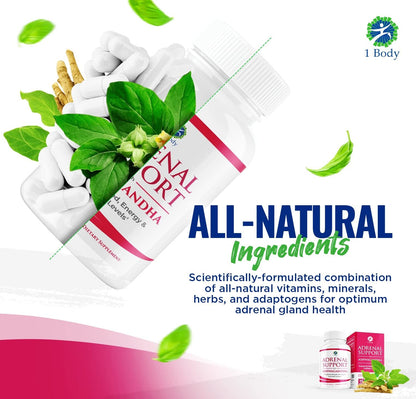 1 Body Adaptogen Complex Supplement with Ashwagandha - 60 Vegan Cap 1 Body