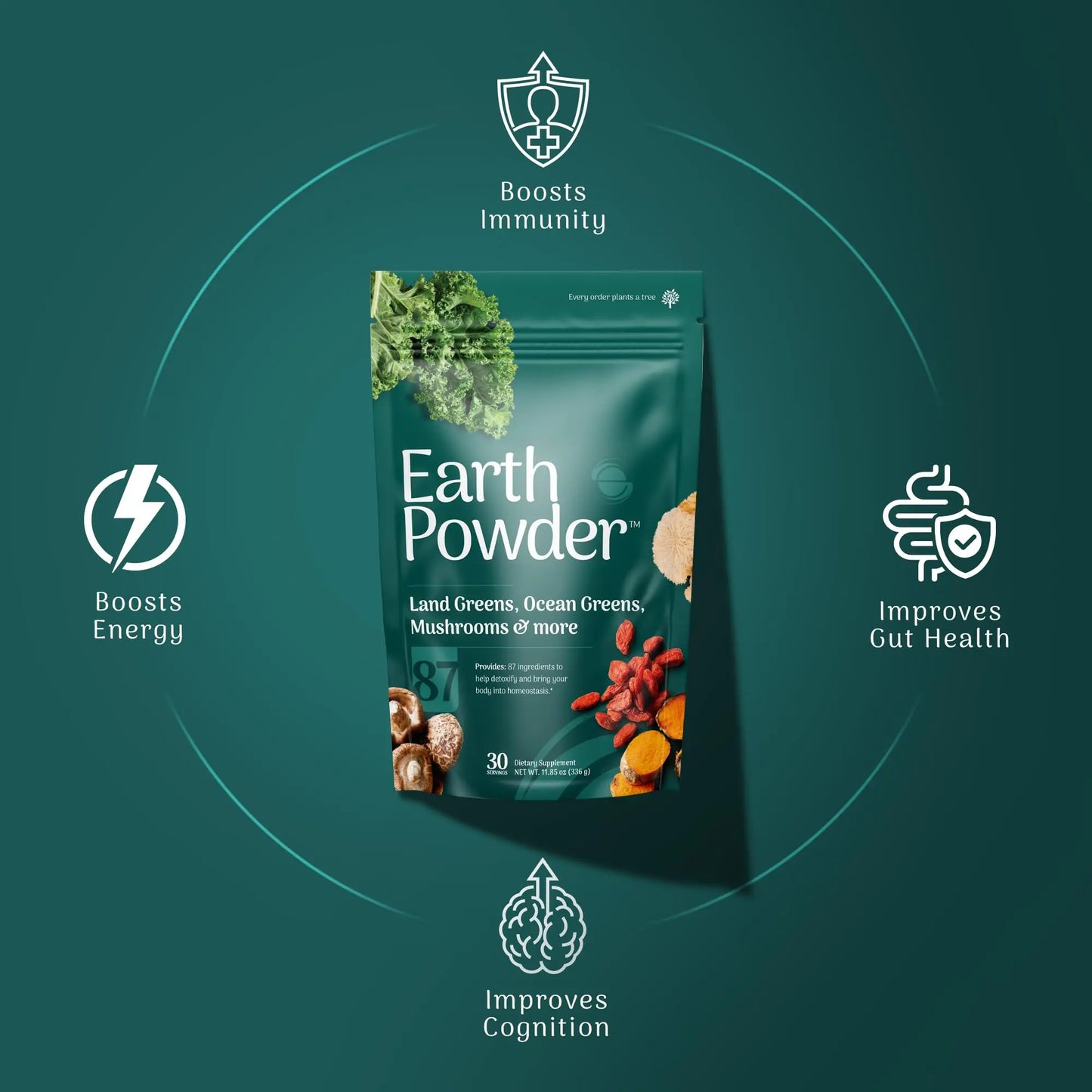 Earth Powder Daily Foundational Nutrition Supplement with 28 Greens & 10 Mushrooms | 87 Nutrients for Energy, Gut Health & Mental Clarity Earth Powder buy supplements Au