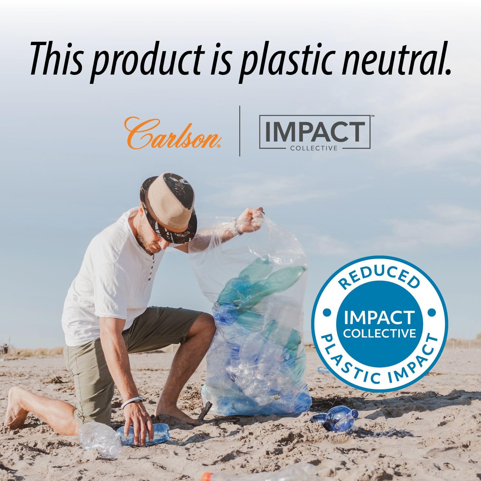 Carlson - Folic Acid, 800 mcg, Provides Important Prenatal Support, 300 tablets Carlson